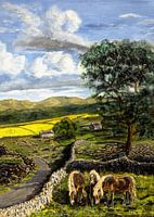 Les vallées du Yorkshire