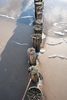 Breakwaters near Schoorl aan Zee