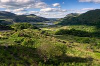 Ladies View (Co. Kerry, Irlande)