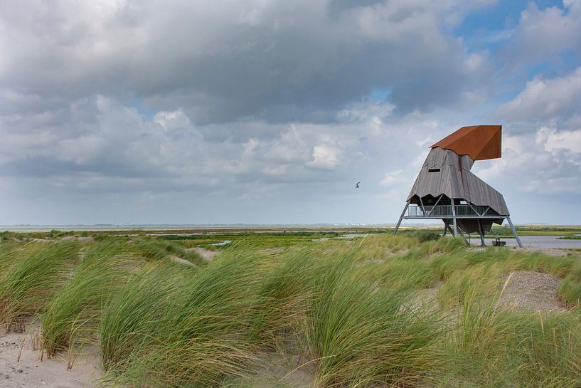 Helm auf der Düne Marker Wadden von Margreet Frowijn