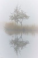 Monique Visser brave little tree