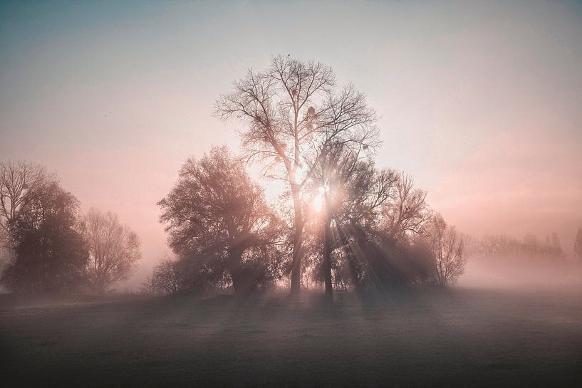 Foggy sunrise by Rob Boon