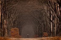 the lonelier cyclist