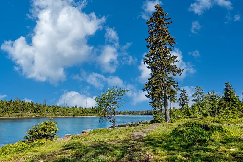 Vue de l'étang d'Oderteich dans les montagnes du Harz en Allemagne par Andreas Völkel