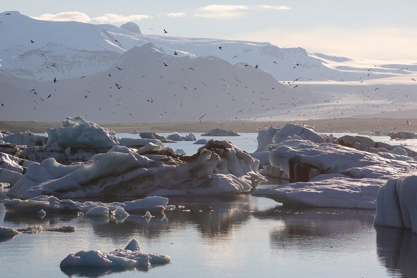 Island - Abendstimmung an der Gletscherlagune von AylwynPhoto