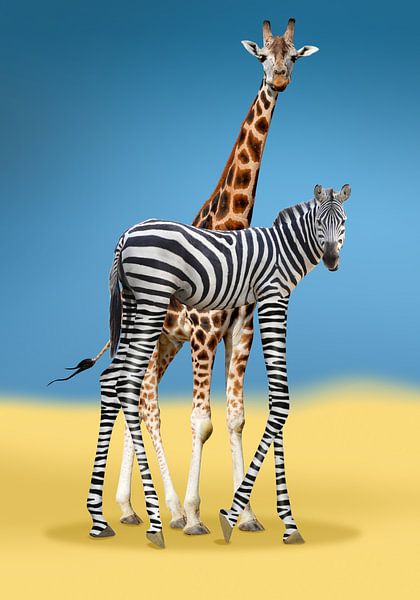 giraffe with zebra by Armin Mumper