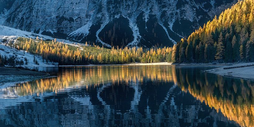 Lumière dorée par Voss photographie