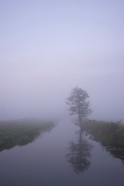 Simplicité par Hessel de Jong Fotografie
