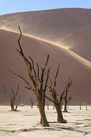 Deep valley with shifting dunes