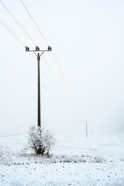 Mast von einer Überlandstromleitung an einem grauen, nebligen Wintertag mit Raureif und Schnee, Kopi von Maren Winter