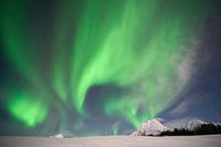 Les aurores boréales