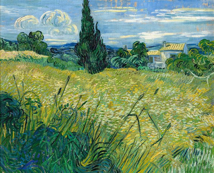 Grünes Weizenfeld, Vincent van Gogh von All the Masters