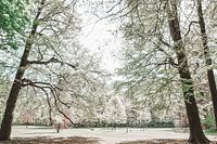 Engelwald in schönen Frühlingstönen