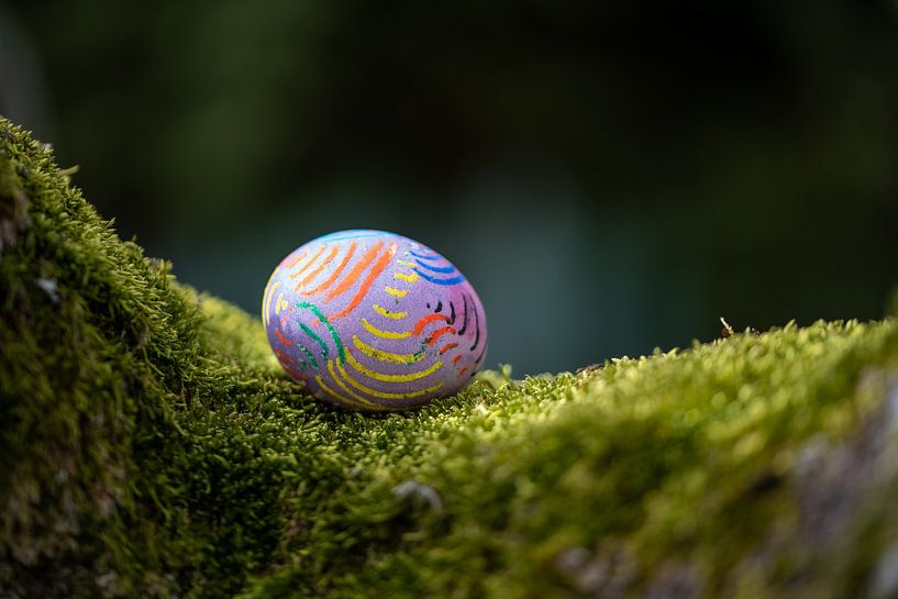 Osterei im Moosbett von Stephan Schulz