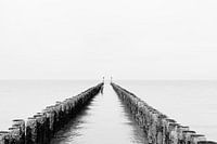 Wellenbrecher im Meer bei Domburg