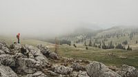 Mist trekt over Velika Planina