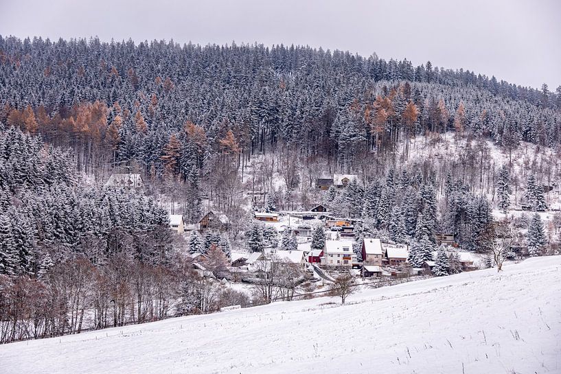 Première randonnée hivernale à travers la forêt enneigée de Thuringe près de Tambach-Dietharz - Thuringe - Allemagne par Oliver Hlavaty