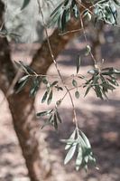 Mediterranes Urlaubsgefühl