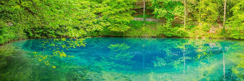 Blautopf in Blaubeuren von Walter G. Allgöwer