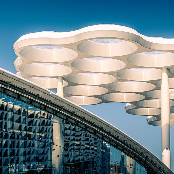 Hardebollendak Utrecht by Jeroen