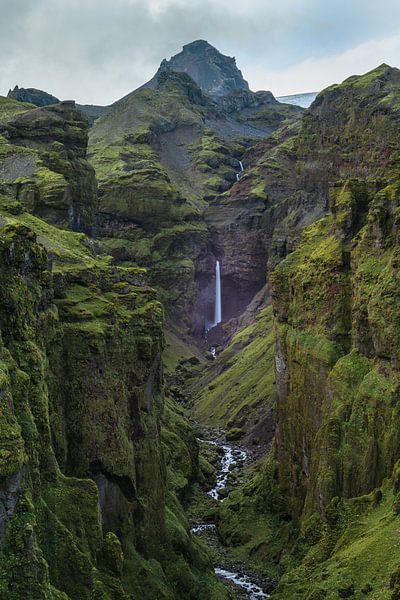 Verborgenes Geheimnis von Freek van den Driesschen