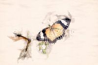 Deux papillons Cethosia cyanus (montage aquarelle)