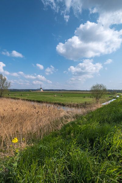 Hollandse molen par Moetwil en van Dijk - Fotografie