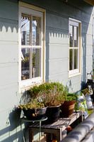 Afternoon glow on the blue house