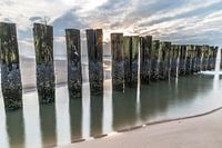 Golfbrekers langs de kust