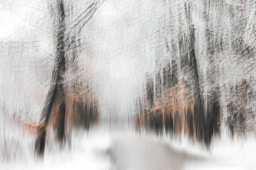 Winter von Ingrid Van Damme fotografie