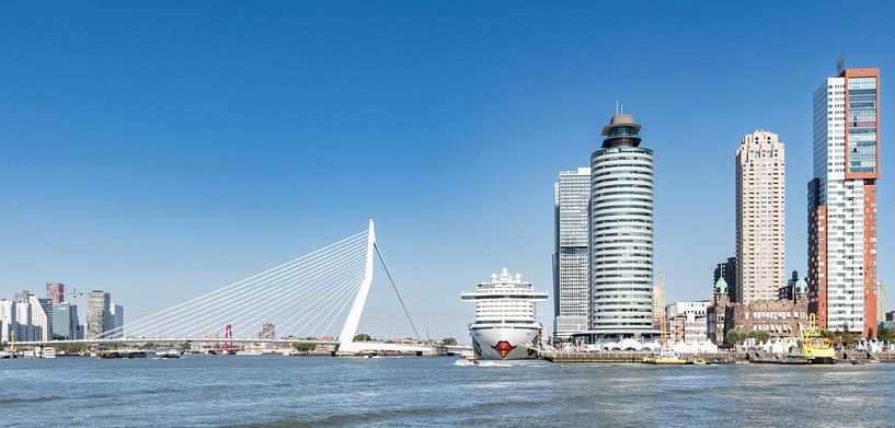 Stadtbild von Rotterdam mit der Erasmusbrücke von Jurgen Hermse