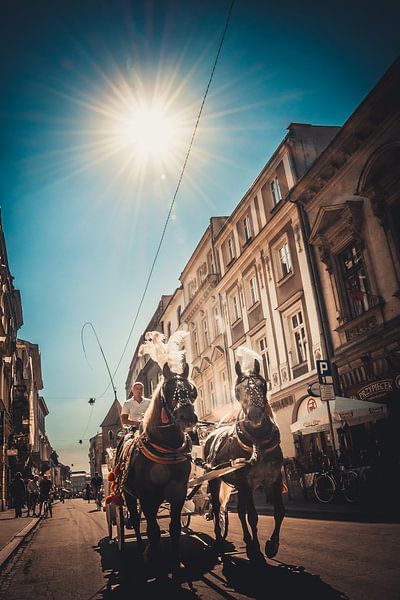 Horses Krakau (Poland) by Niels Hemmeryckx