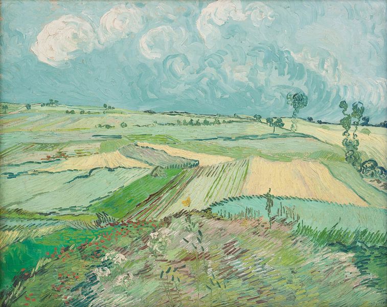 Weizenfelder nach dem Regen (Die Ebene von Auvers), Vincent van Gogh von Meisterhafte Meister