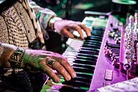 Thijs van Leer - Fokus