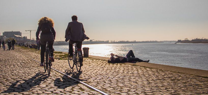 Zonnige middag aan de Schelde by Ronald De Neve