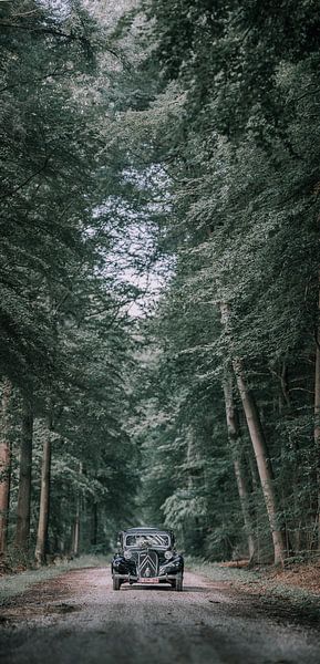 der Wald von Elke De Proost