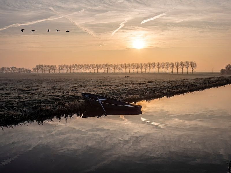Des oies au-dessus du Plaspolder à Woubrugge par Kees van den Burg