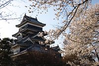 Black castle, Matsumoto