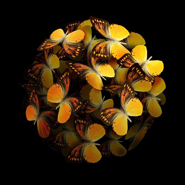 Morphogenetisch: Gelb II von Morphogenic