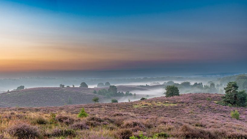 Sonnenaufgang im Nebel auf lila Heidekraut von Aandenken in Beeld