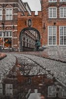 Blick auf den Ruissche Poort