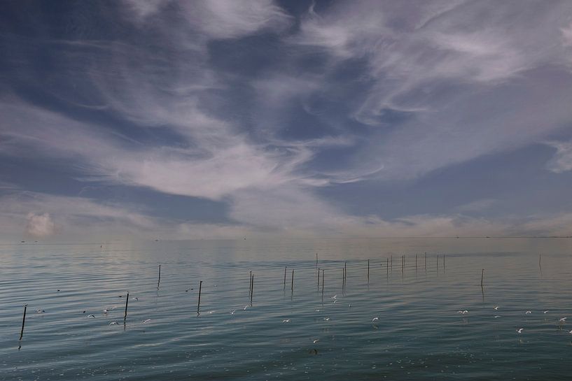 Fischnetzstangen im Wasser in romantischem Licht. von Brian Morgan