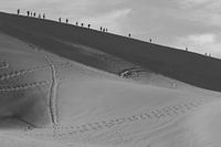 The road to no man's land