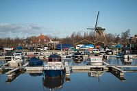 Jachthaven Schipluiden