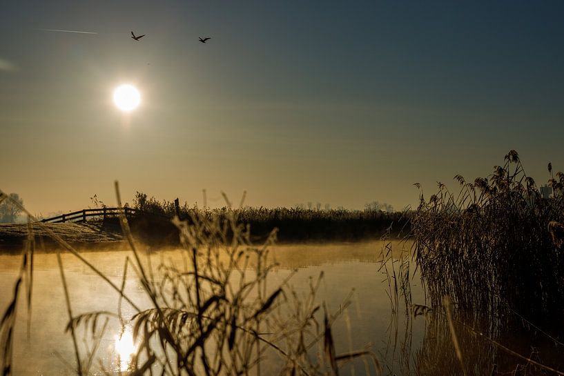 Water with dew by Jeen Arendz