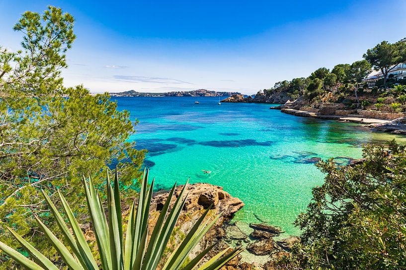 Beautiful bay beach of Cala Fornells, Mallorca island Spain by Alex Winter