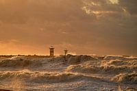 Scheveningen Storm