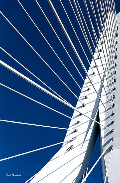 Lignes par Bert Boevink