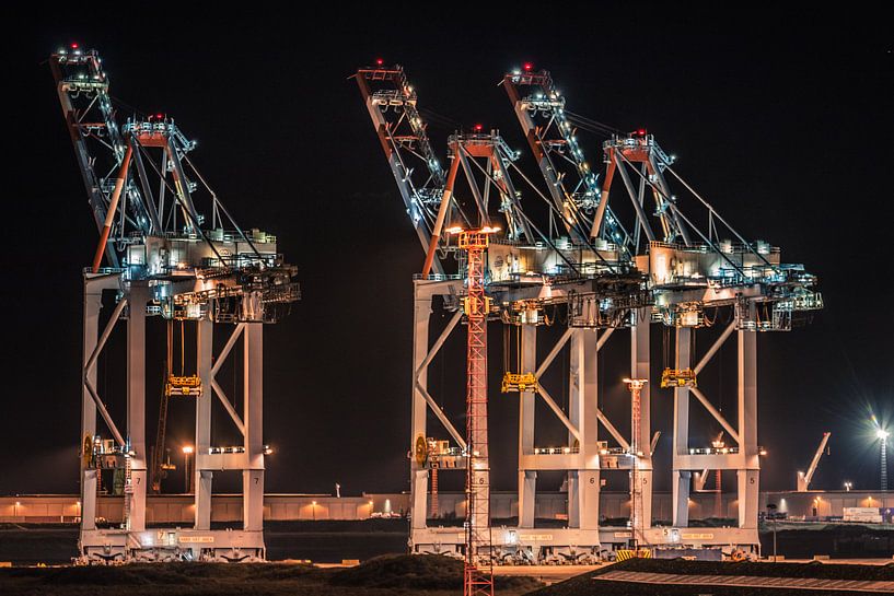 Container Terminal Zeebrugge van Frans Janssen