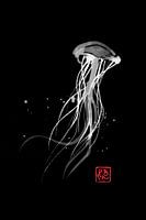meduse dans le noir